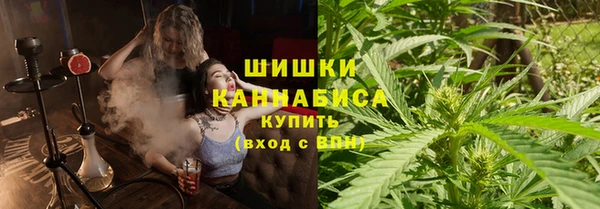твердый Ладушкин