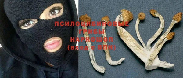 соль ск Майский