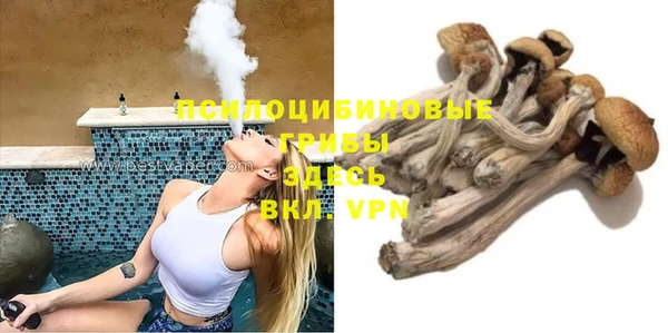 мдпв Магадан